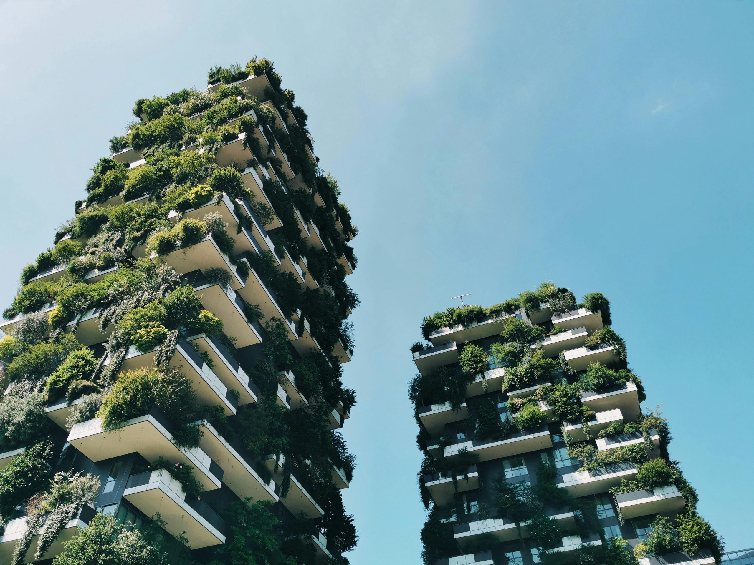 Bosco Verticale, la visione di architettura sostenibile che rivoluziona il concetto di spazio urbano
