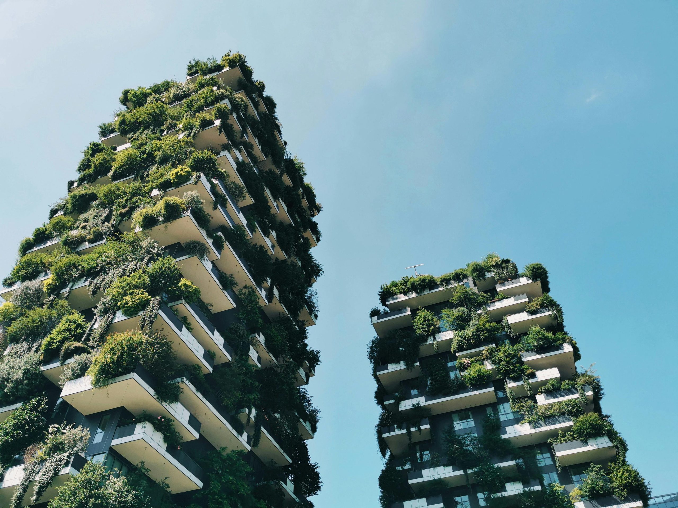 Bosco Verticale, la visione di architettura sostenibile che rivoluziona il concetto di spazio urbano