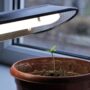 Coltivare un orto casalingo a Milano: i LED per coltivazione indoor