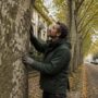 Regolamento del verde a Milano, nuove regole per potature e abbattimenti: più tutele per alberi e biodiversità